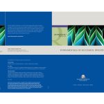Vibrant Graphics Portfolio FTI Brochure